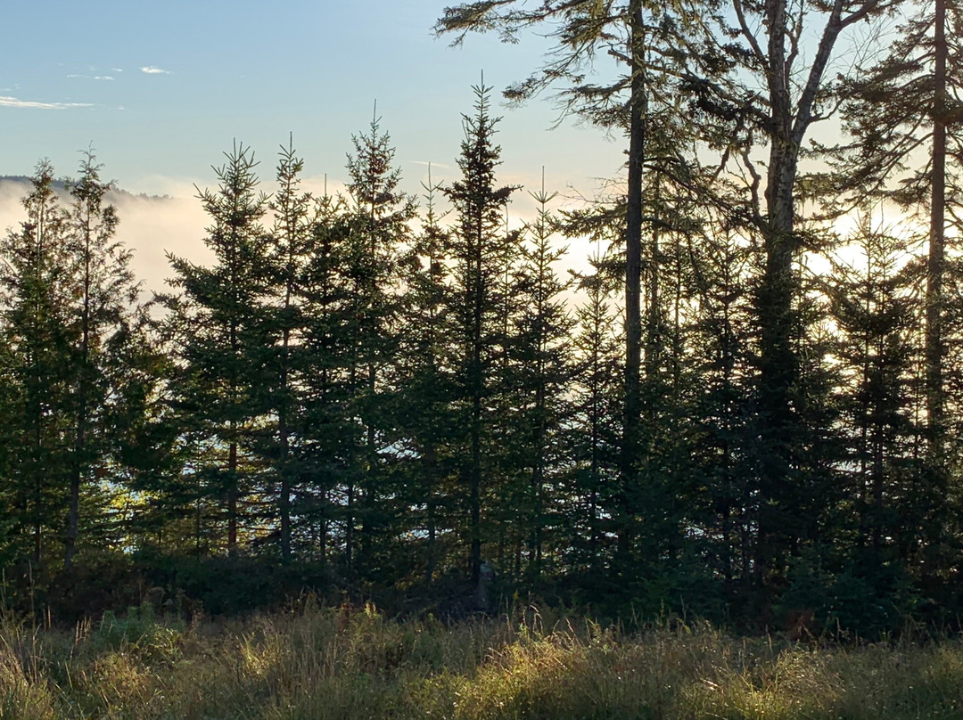 Three Pines Bed & Breakfast and Farm主图