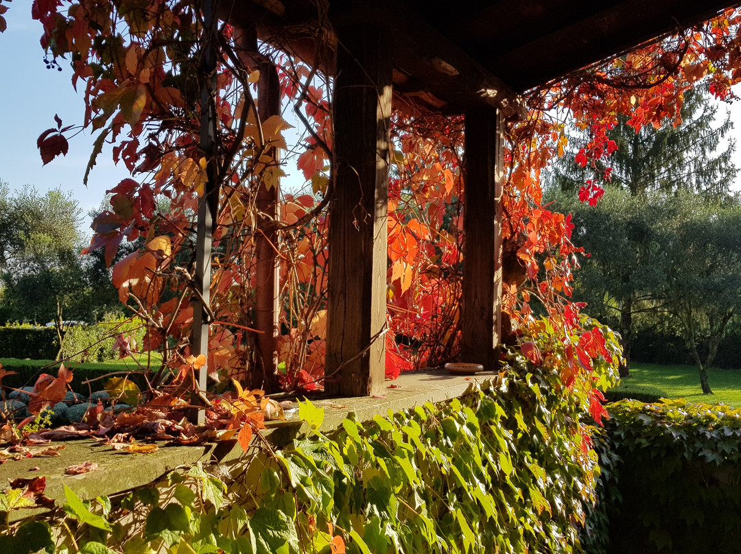 Commenda Ordine Di Malta主图