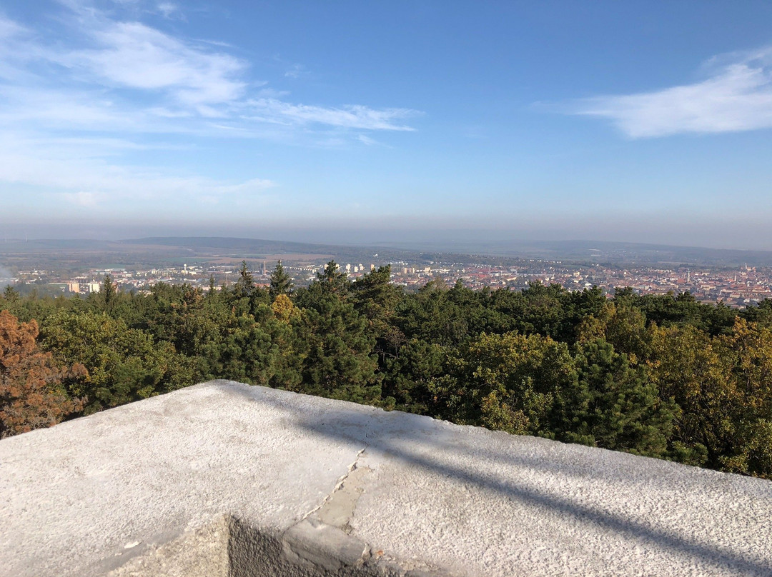 Lookout Tower Karoly景点图片