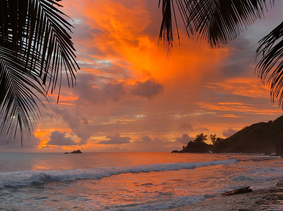 Domaine Desaubin Luxury Villas主图