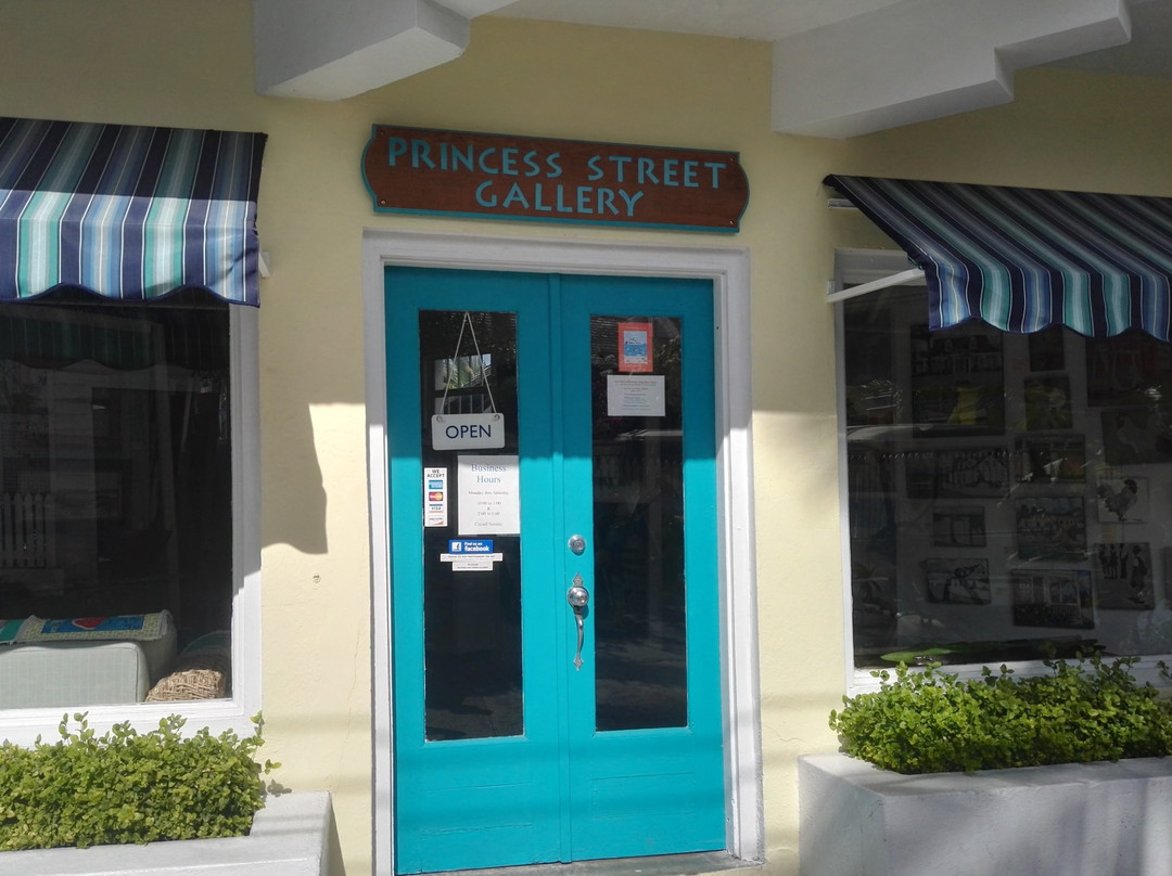 Princess Street Gallery景点图片