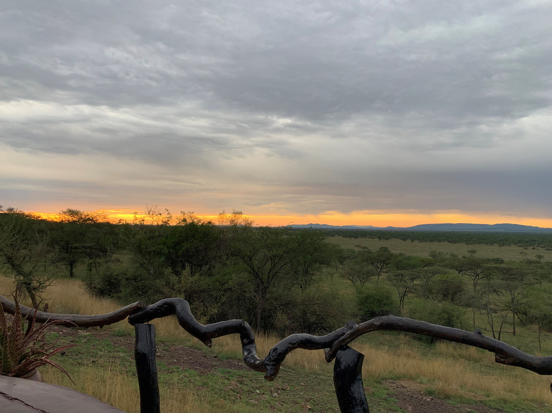 Mbalageti Safari Camp主图