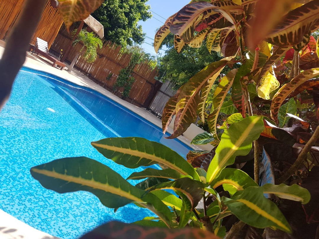 Hotel & Suites Oasis Bacalar主图