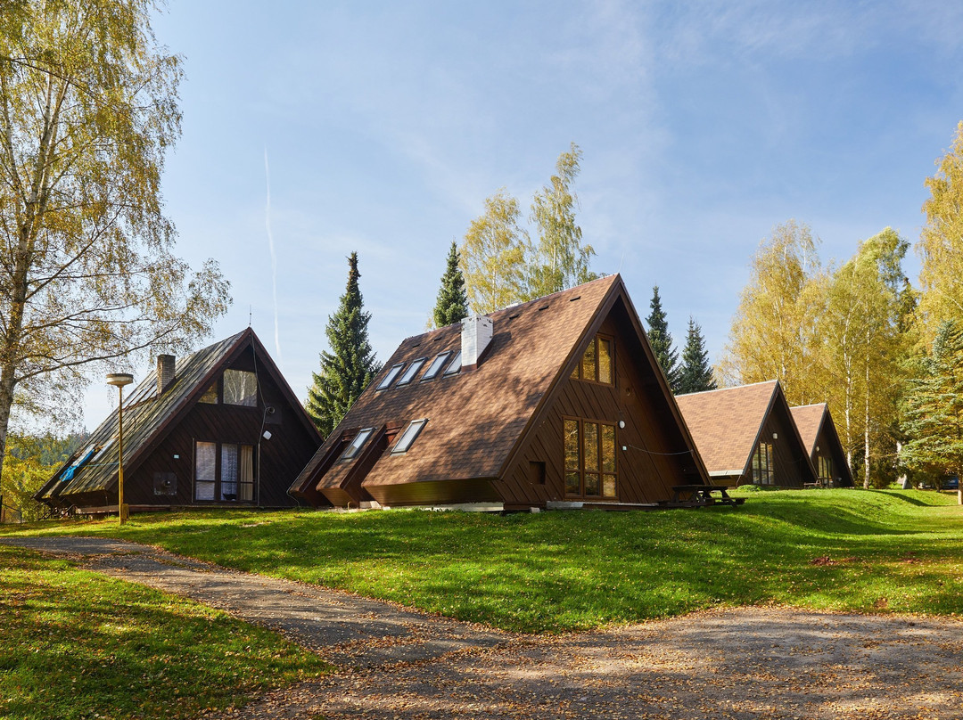 Camp Dolce