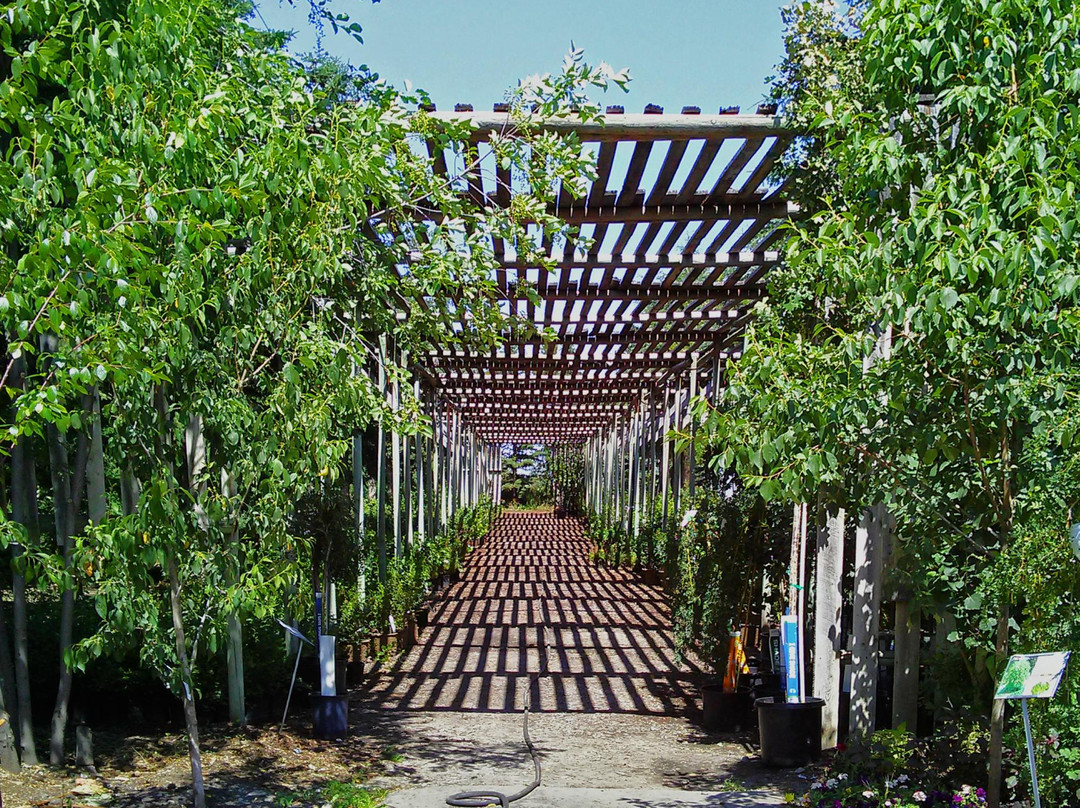 The Saskatoon Berry Farm景点图片