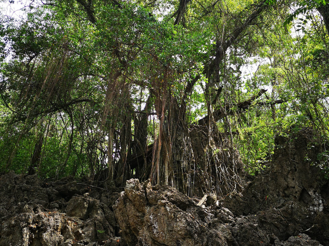 Territory Day Park-圣诞岛必去景点