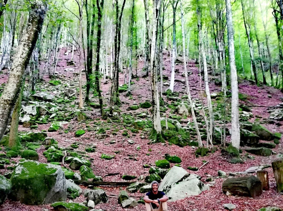 Valle Verzasca-Lavertezzo必去景点