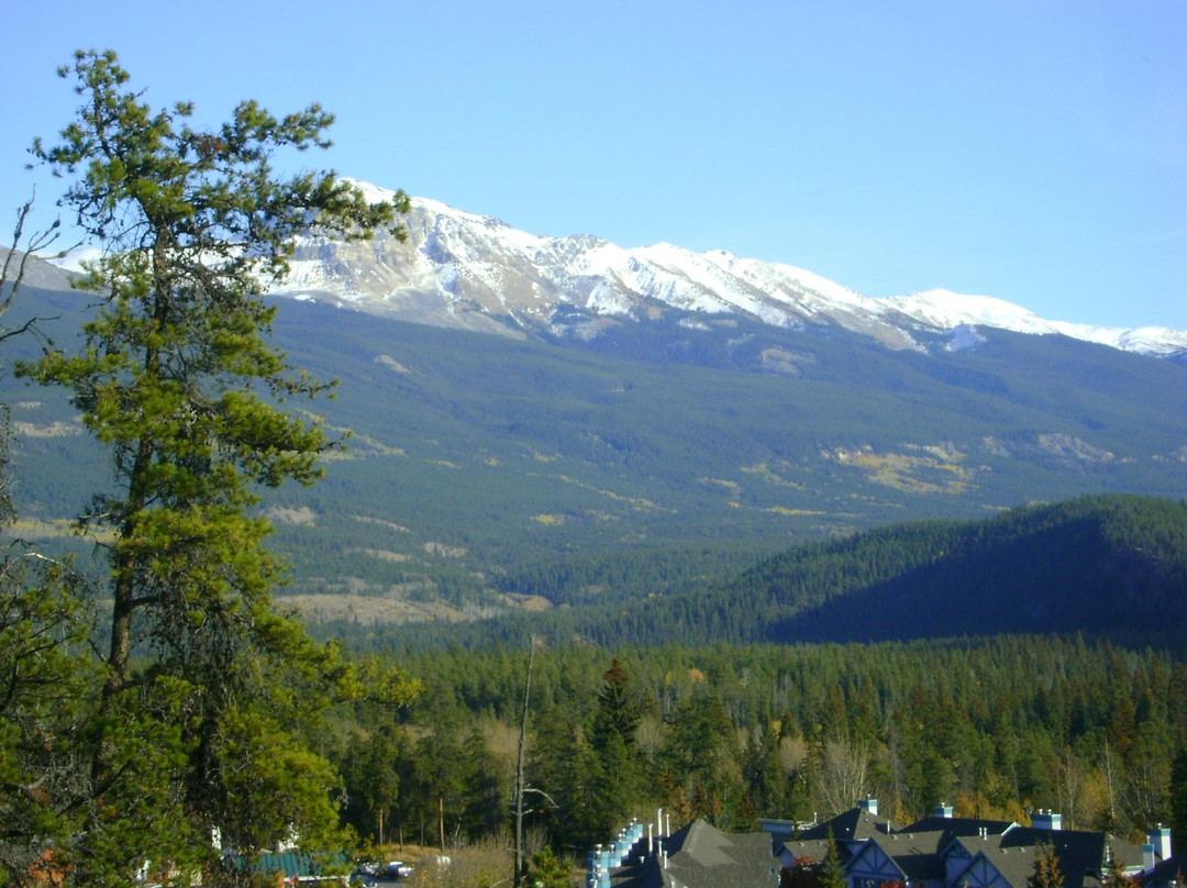 Jasper Discovery Trail景点图片