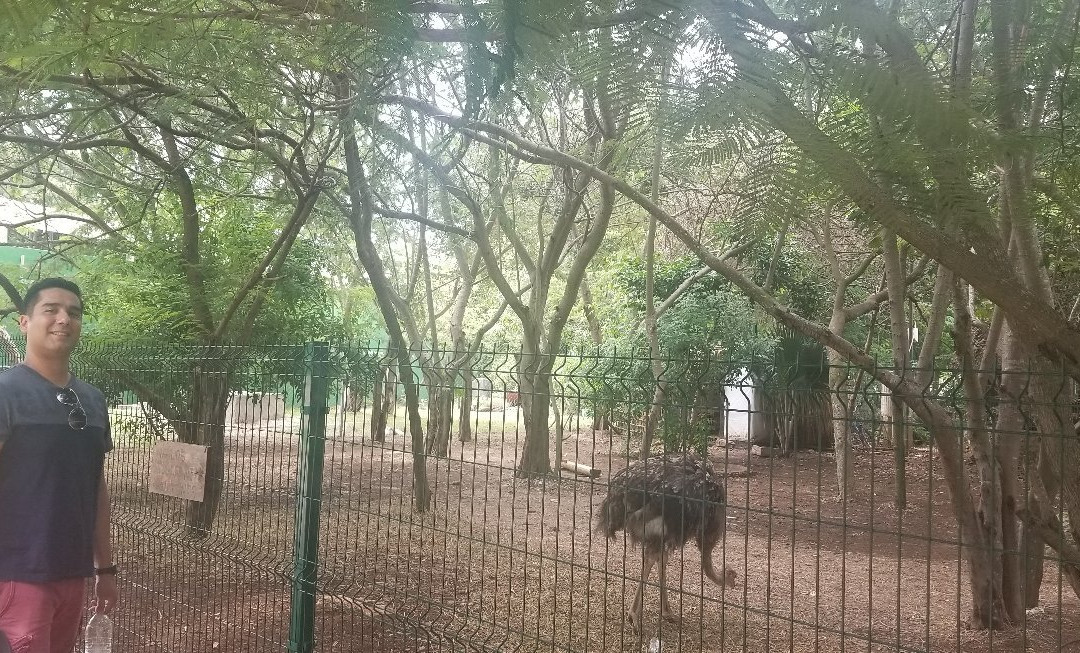 Parque Animaya景点图片