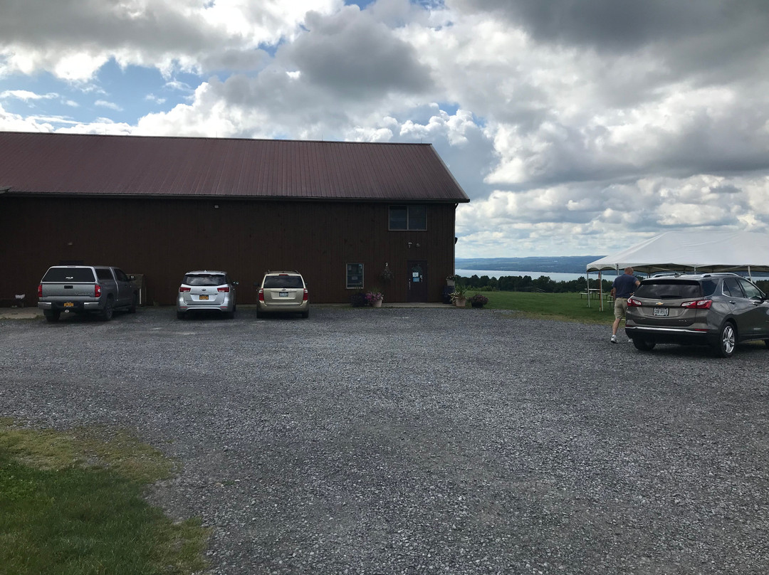 Long Point Winery-Aurora必去景点