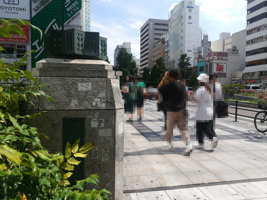Dotombori Bridge-Dotombori必去景点