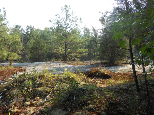 Monticello旅游景点-Charlie Elliott Wildlife Center