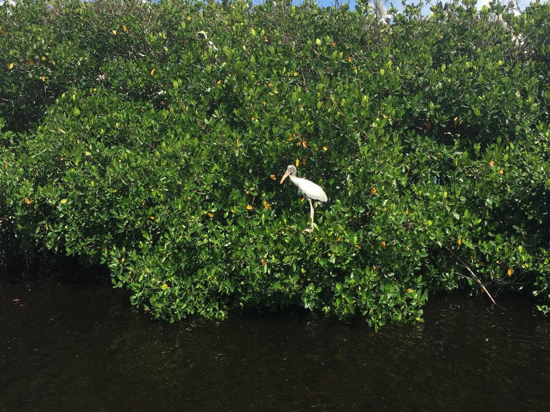 Nav-A-Gator-阿卡迪亚必去景点