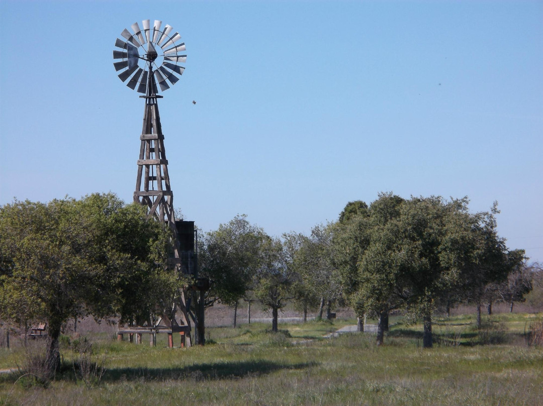 安条克旅游景点-Dow Wetlands Wildlife Habitat Preserve