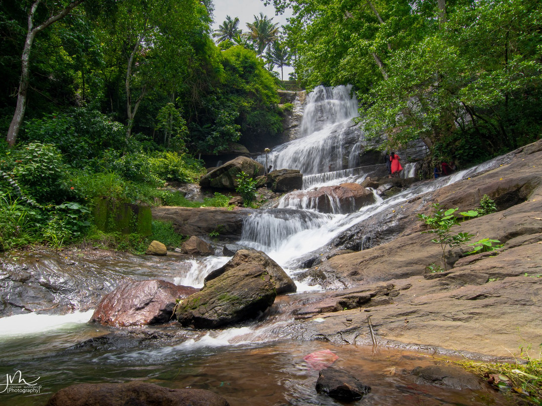 Areeckal Waterfalls景点图片
