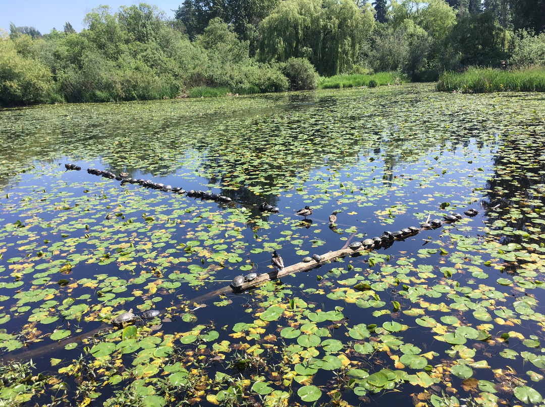 Juanita Bay Park景点图片