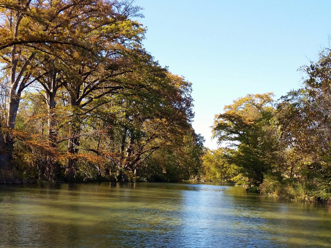 Wimberley旅游景点-Wimberley Lions Market Days