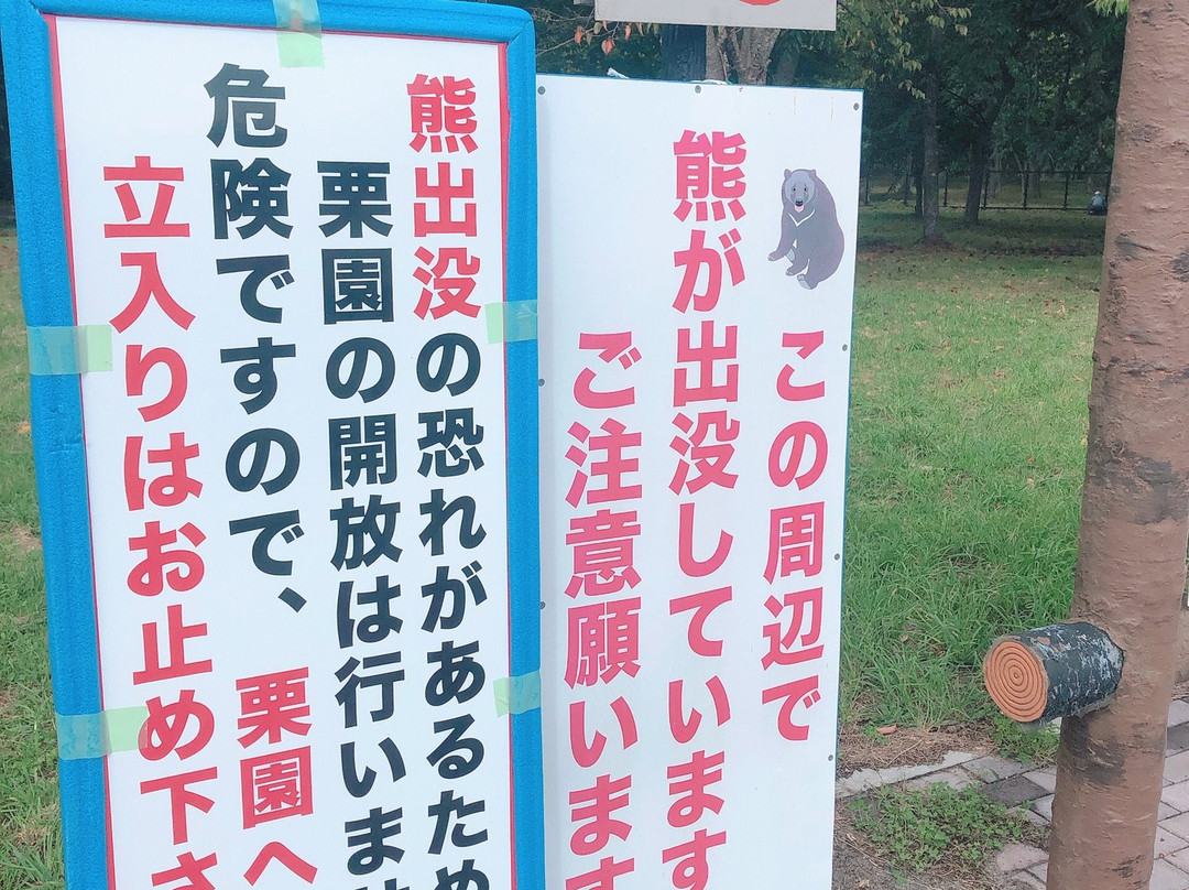 Kinshuko Service Area Inbound and Outbound-西和贺町必去景点