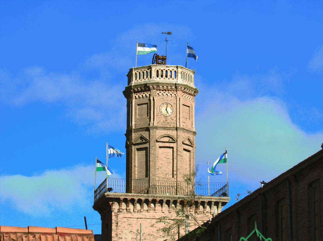 Museo Salesiano Cardenal Cagliero景点图片