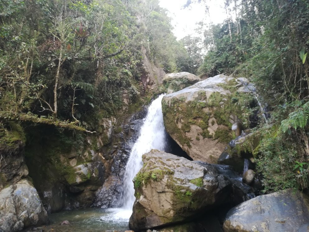 Catarata San Andres
