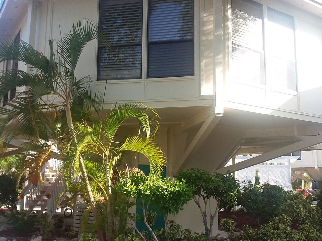 Pier 68-马拉松必去景点