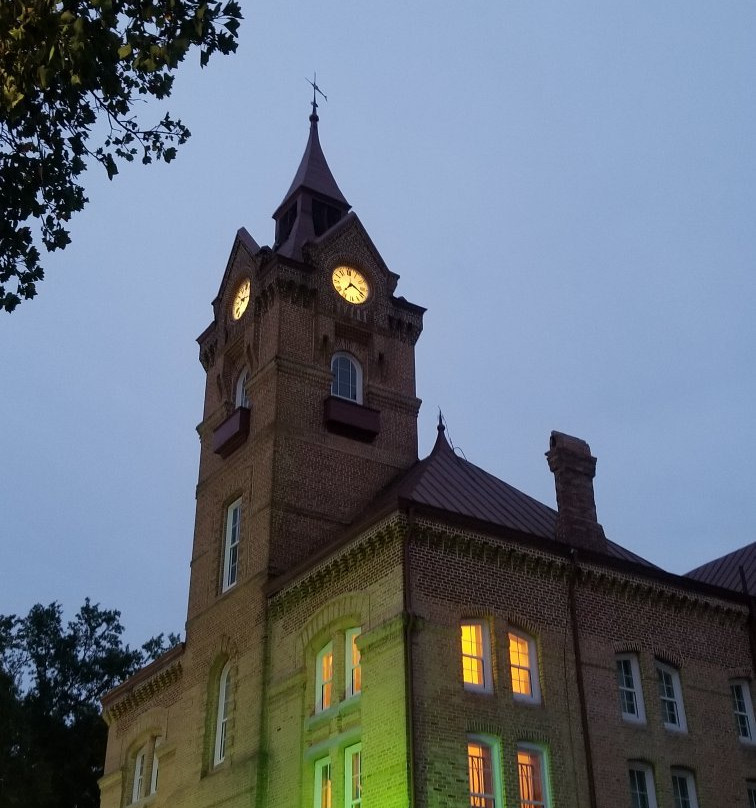Newberry Opera House景点图片