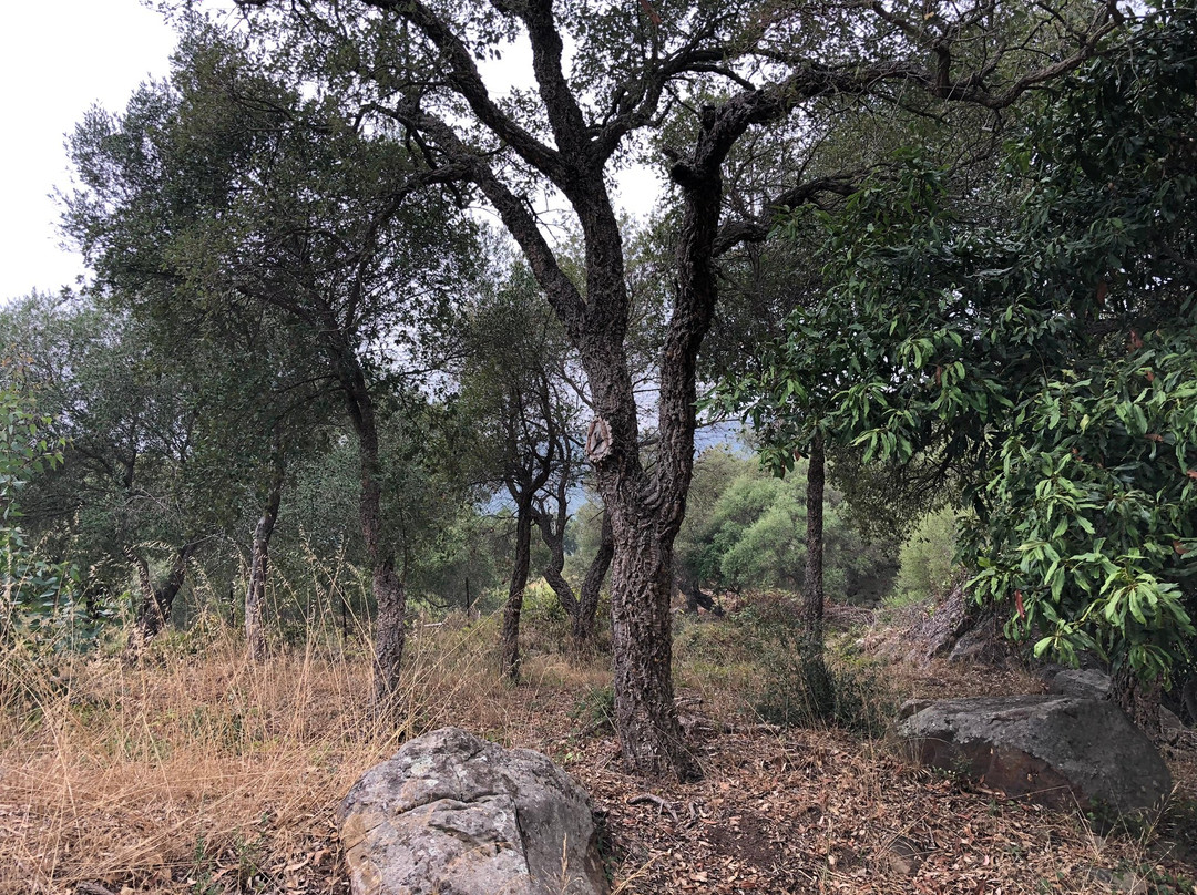 Complejo Rural Huerta Grande主图