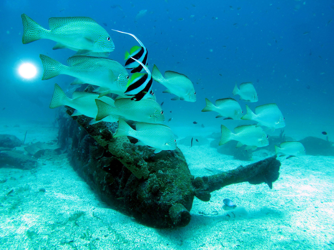 Dive Munda景点图片