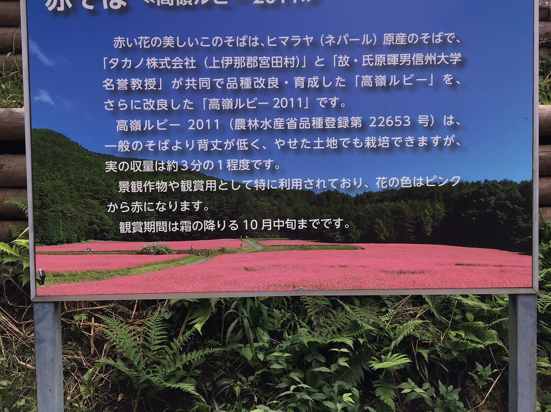 Akasoba no Sato-箕轮町必去景点