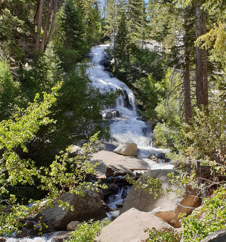 Mount Whitney-红杉&国王峡谷国家公园必去景点