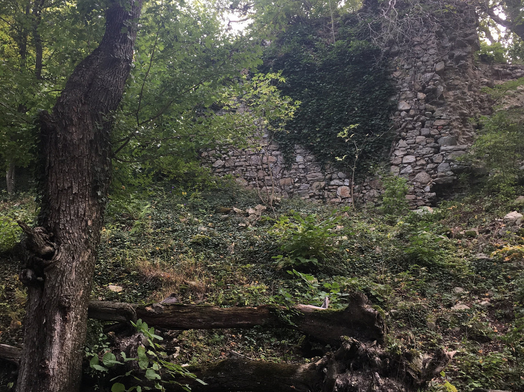 Slavic Fortress of the Biely Kamen-Svaty Jur必去景点