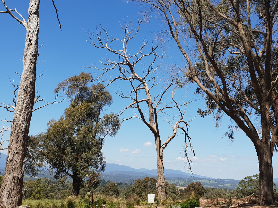 亚拉河谷旅游景点-Seville Hill Winery
