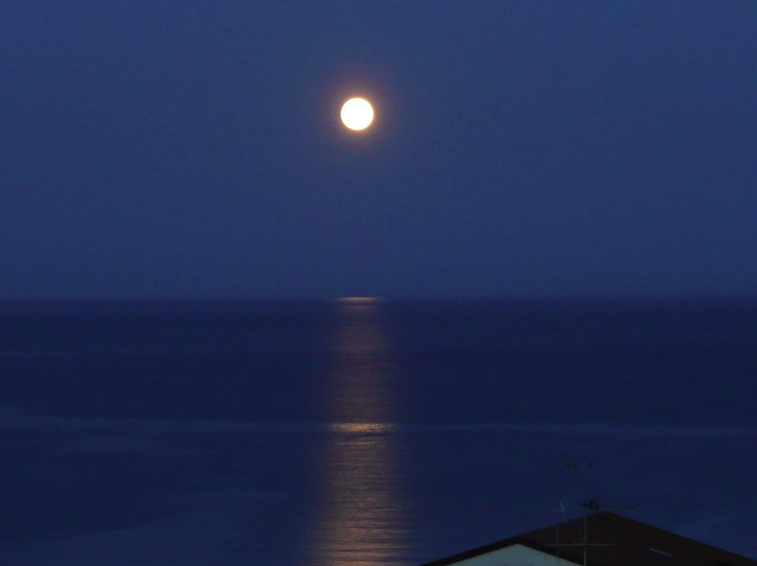 梅特罗波尔酒店主图