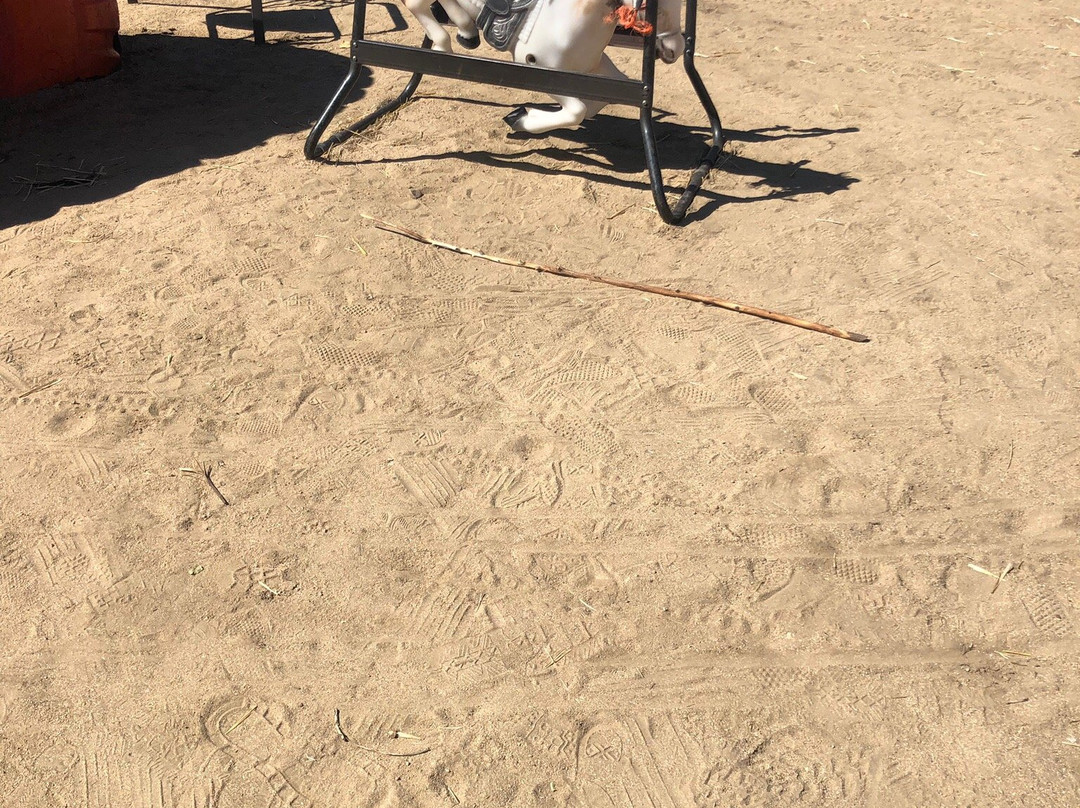 Miller Farms-Platteville必去景点