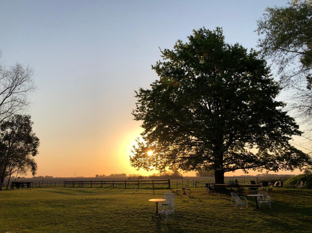 Los Vagones de Areco主图