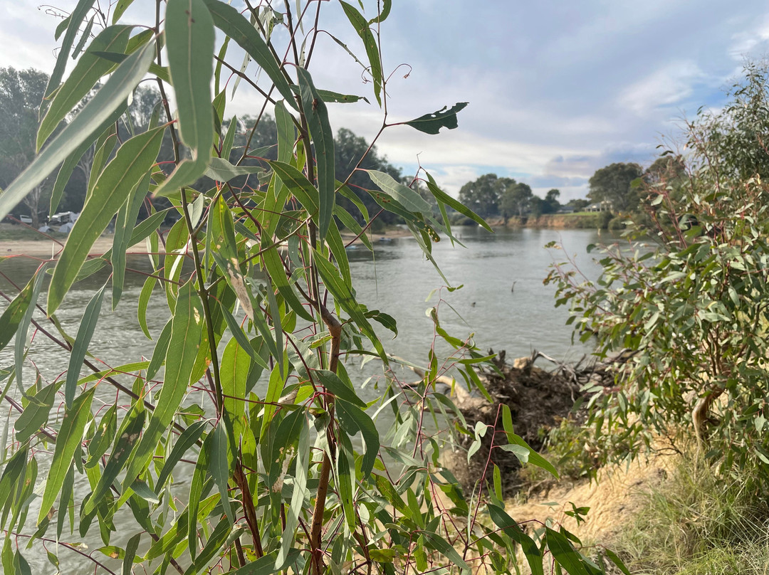 Quick's Beach-Barooga必去景点