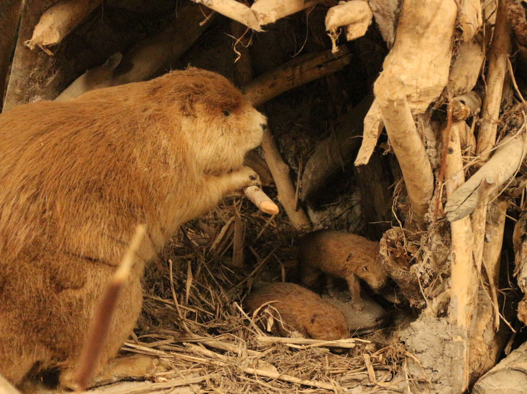 Wind River Heritage Center-Riverton必去景点