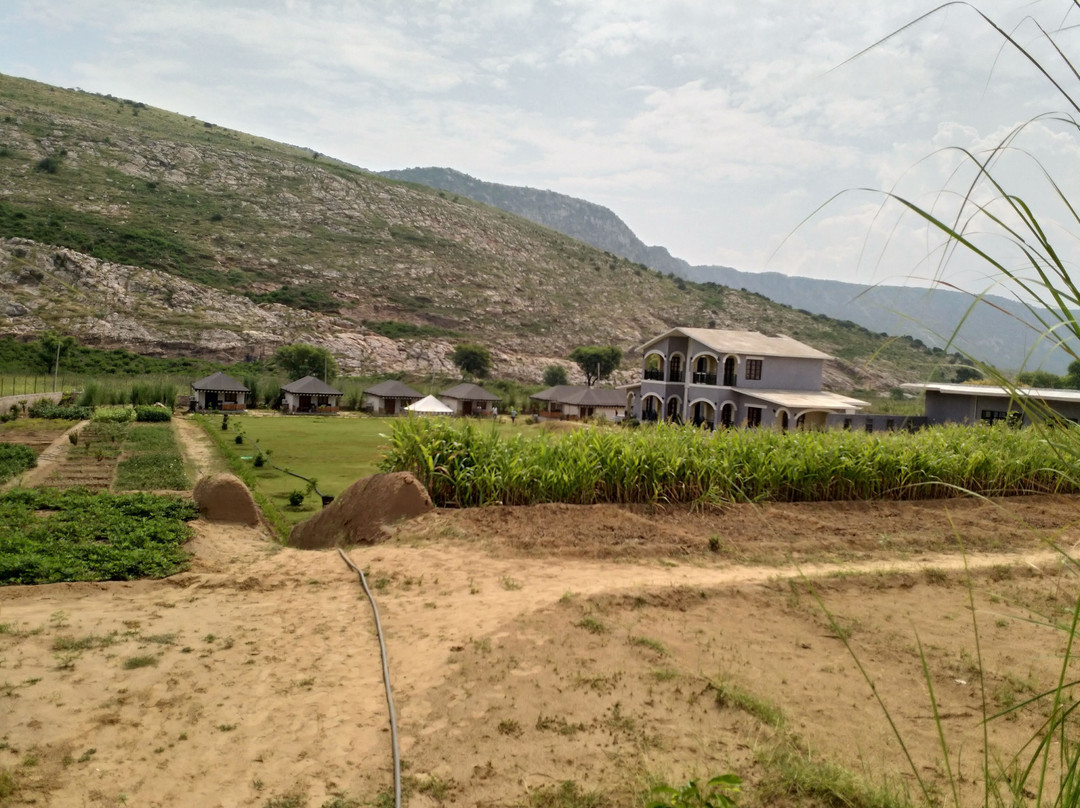 The Sariska Retreat主图