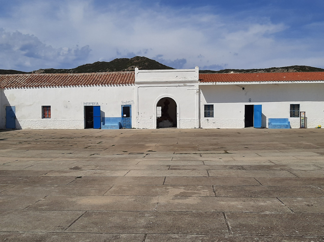 Mare & Natura - Tour Parco dell'Asinara-斯廷蒂诺必去景点