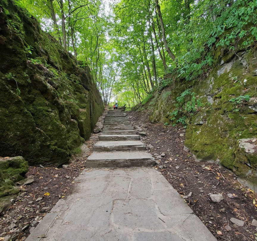 Thacher State Park景点图片