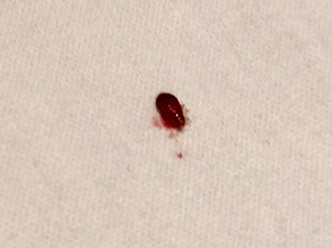 滨海城市酒店主图