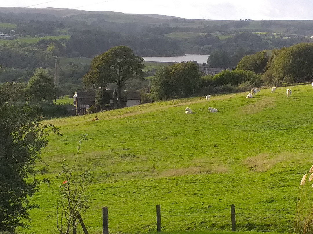 Quarlton Fold Farm主图