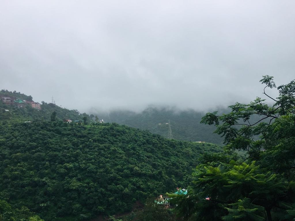 Nature Stay Kasauli主图