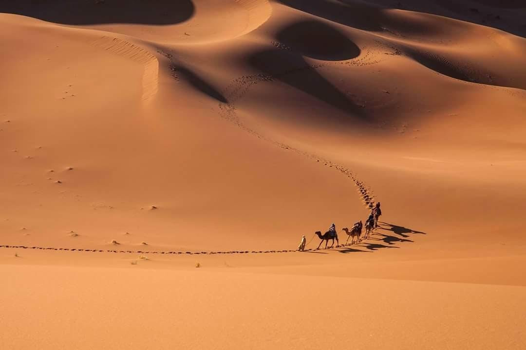 Desert Erg Chigaga-Kasr Bounou必去景点
