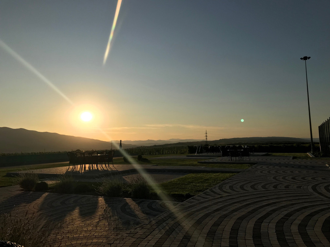 Domeniile Panciu Winery & Resort主图