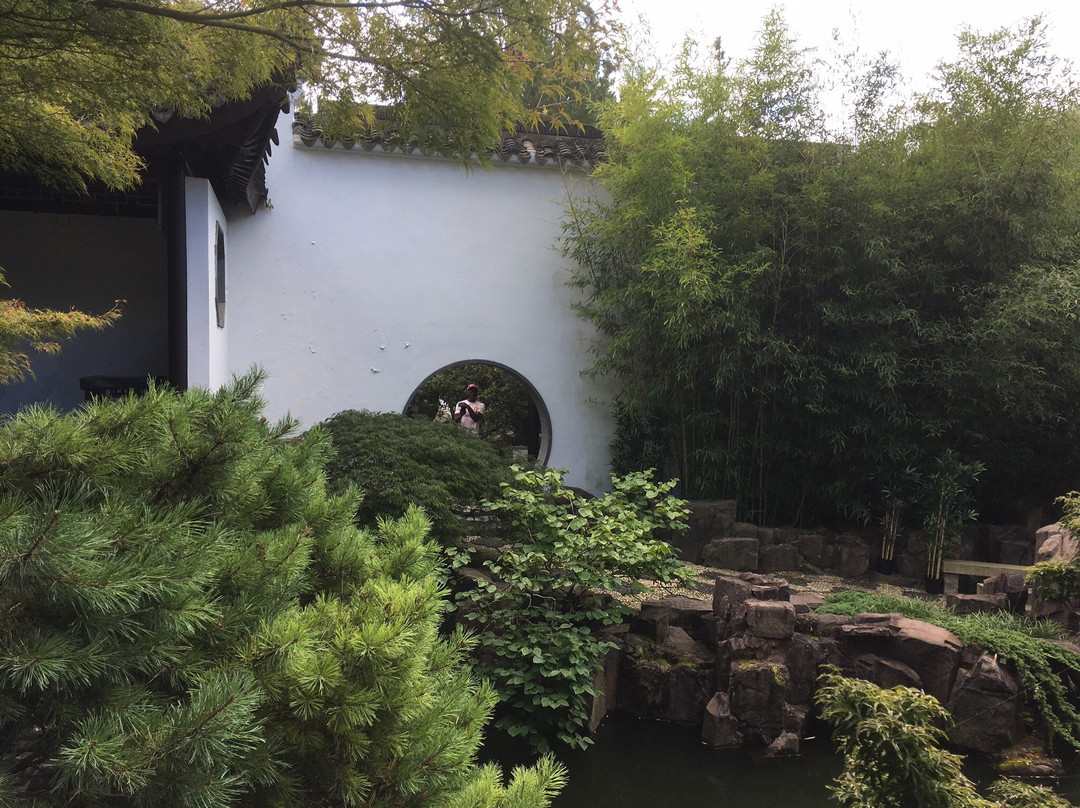New York Chinese Scholar's Garden景点图片