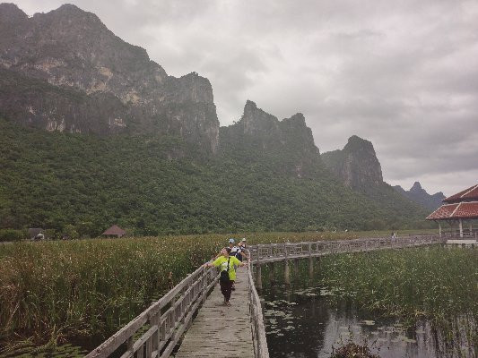 Bueng Bua Nature Observation Center景点图片