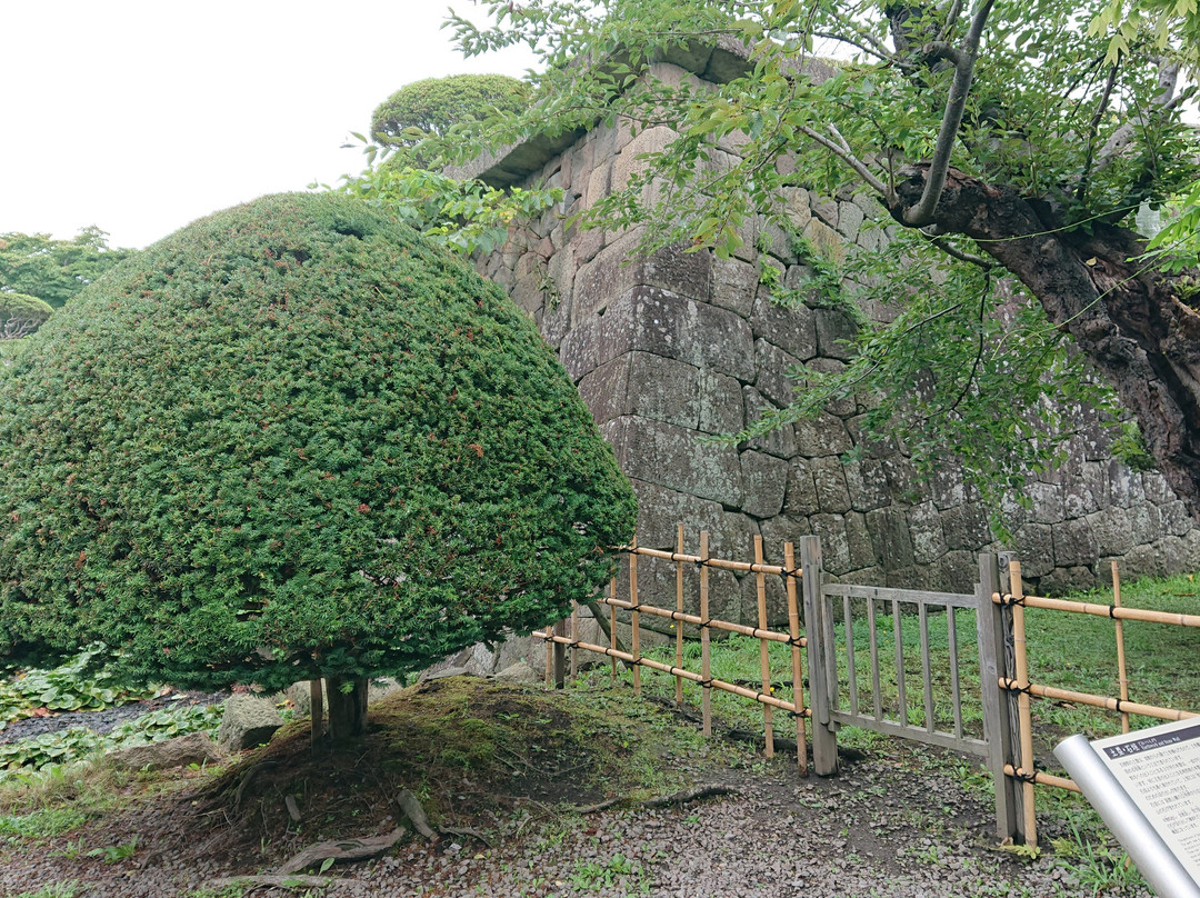 五棱郭公园景点图片