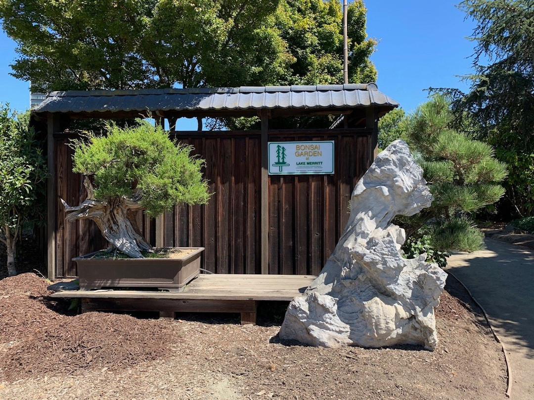GSBF Bonsai Garden at Lake Merritt景点图片