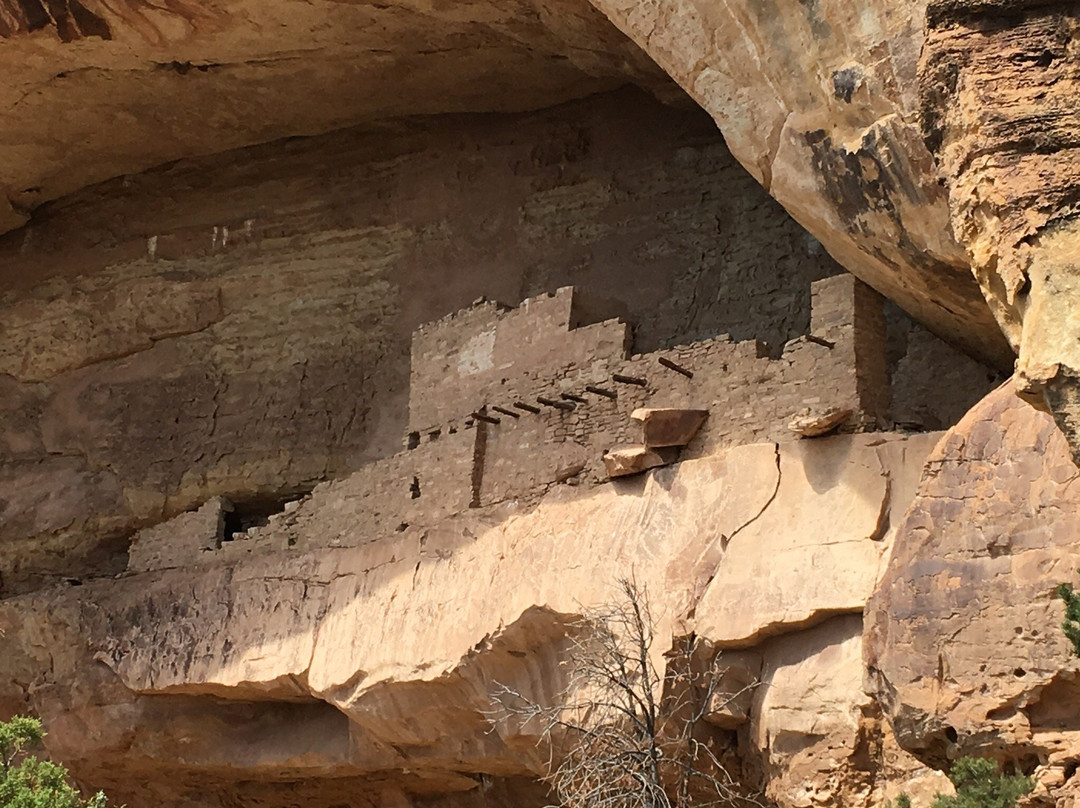 Ute Mountain Tribal Park景点图片